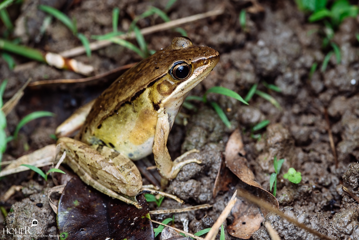 2025.11.08 sNaP(每日一拍)