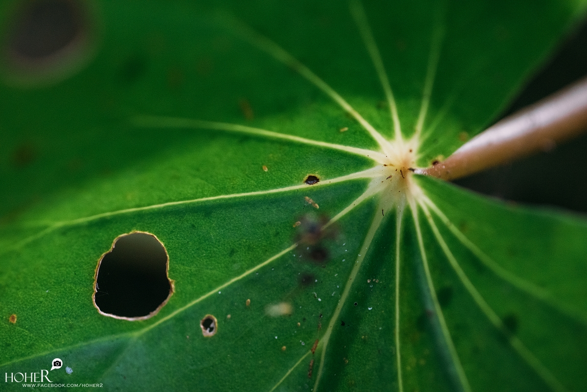 2025.11.10 sNaP(每日一拍)