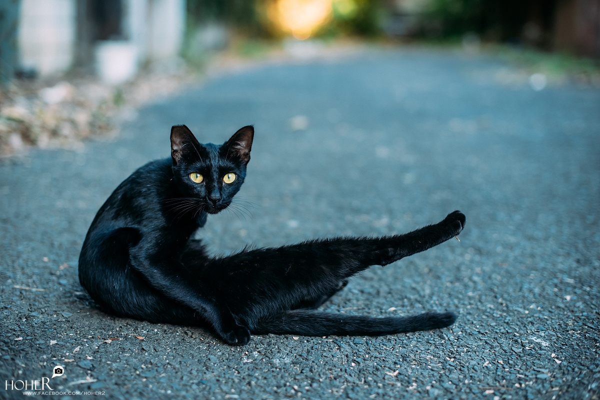 2025.11.22 sNaP(每日一拍)