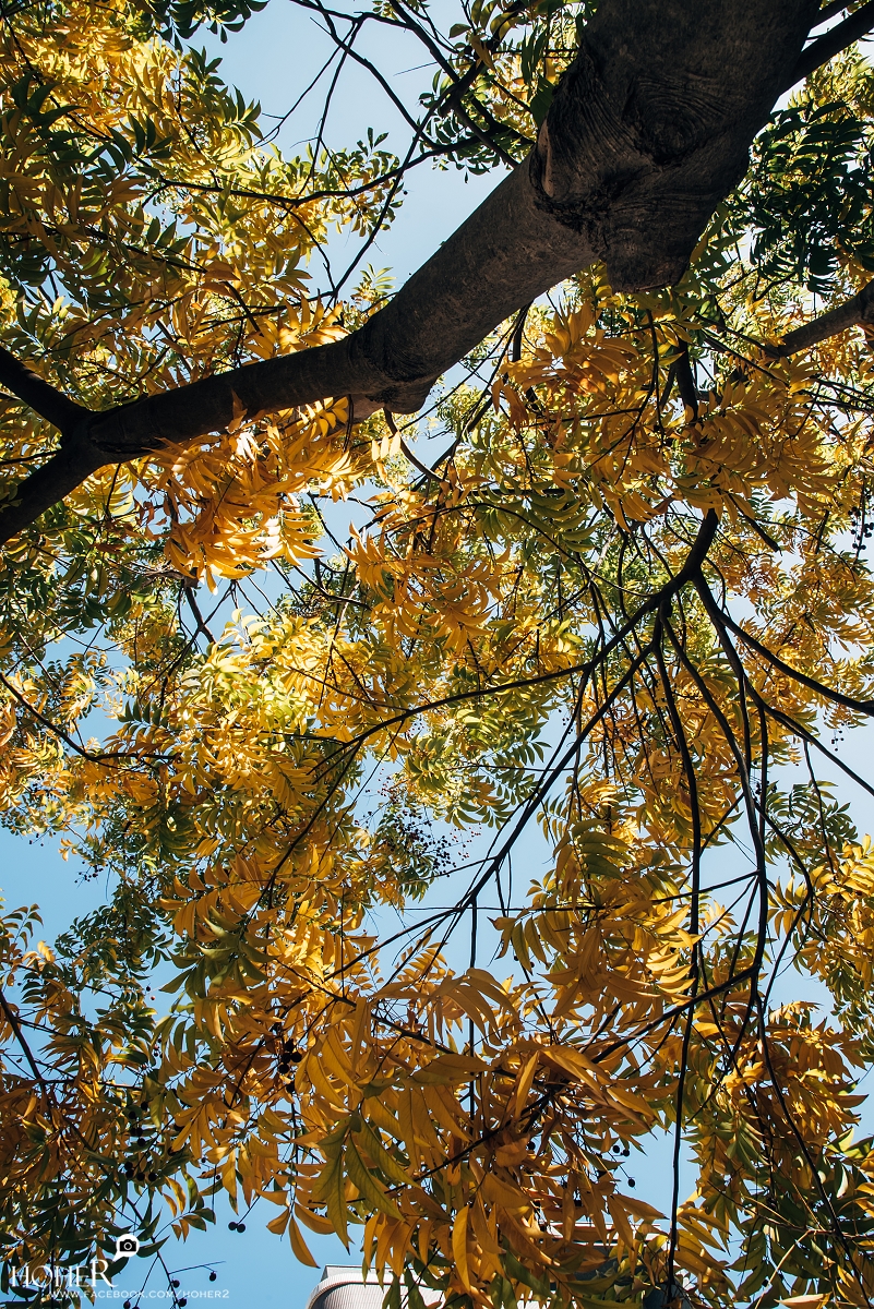 2025.12.10 sNaP(每日一拍)