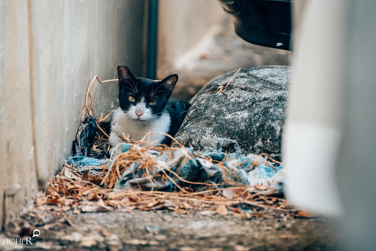 2025.12.07 sNaP(每日一拍)