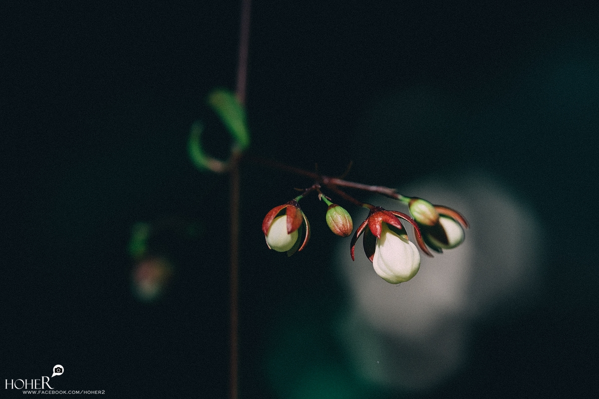 2025.12.11 sNaP(每日一拍)