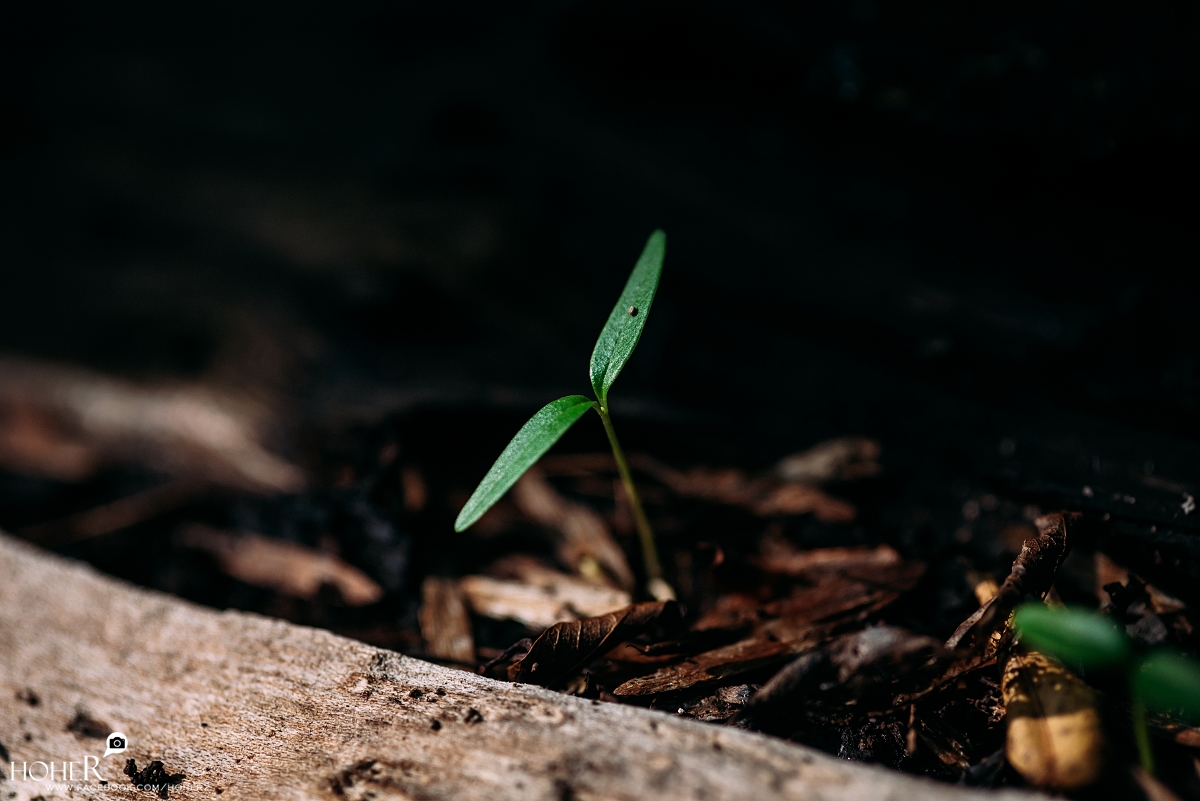 2025.12.05 sNaP(每日一拍)