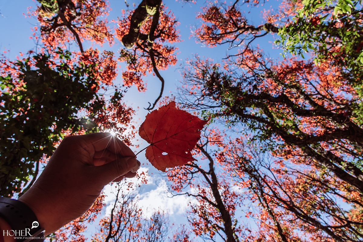 2025.12.21 sNaP(每日一拍)