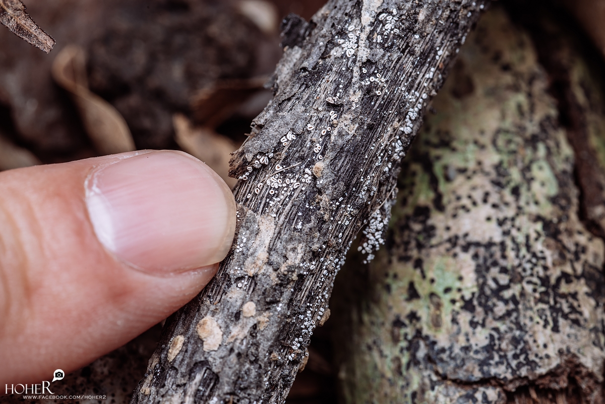 2025.12.15 sNaP(每日一拍)