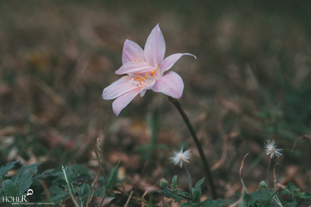 2025.11.28 sNaP(每日一拍)