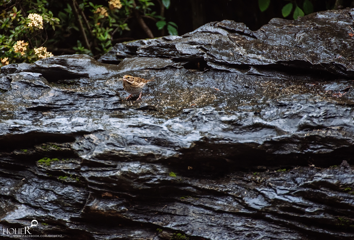 2025.12.01 sNaP(每日一拍)