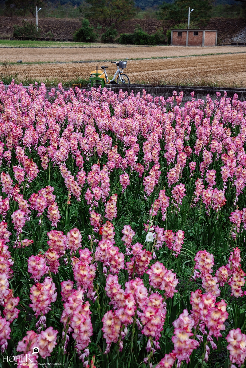 2025.12.04 sNaP(每日一拍)