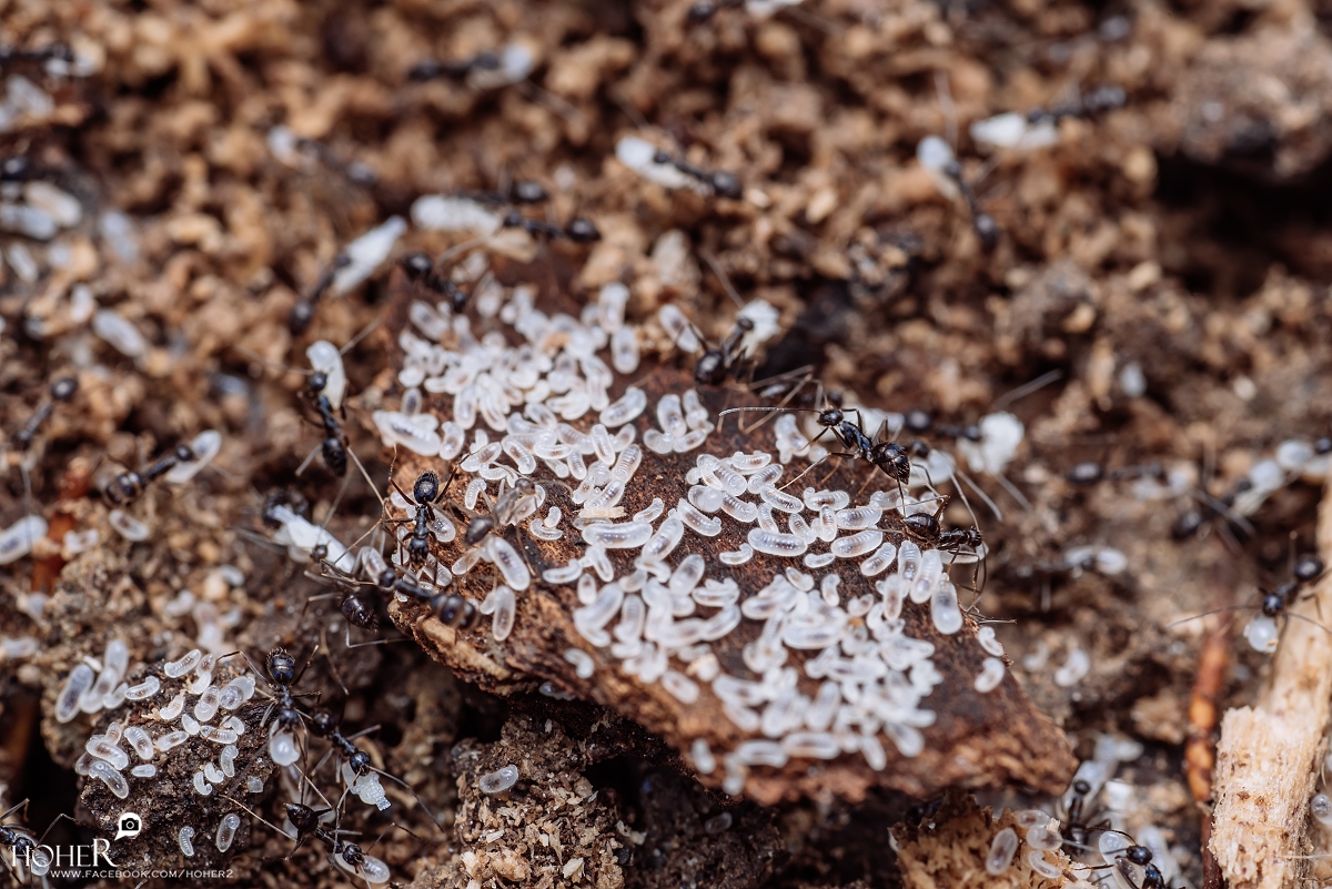 2025.11.19 sNaP(每日一拍)