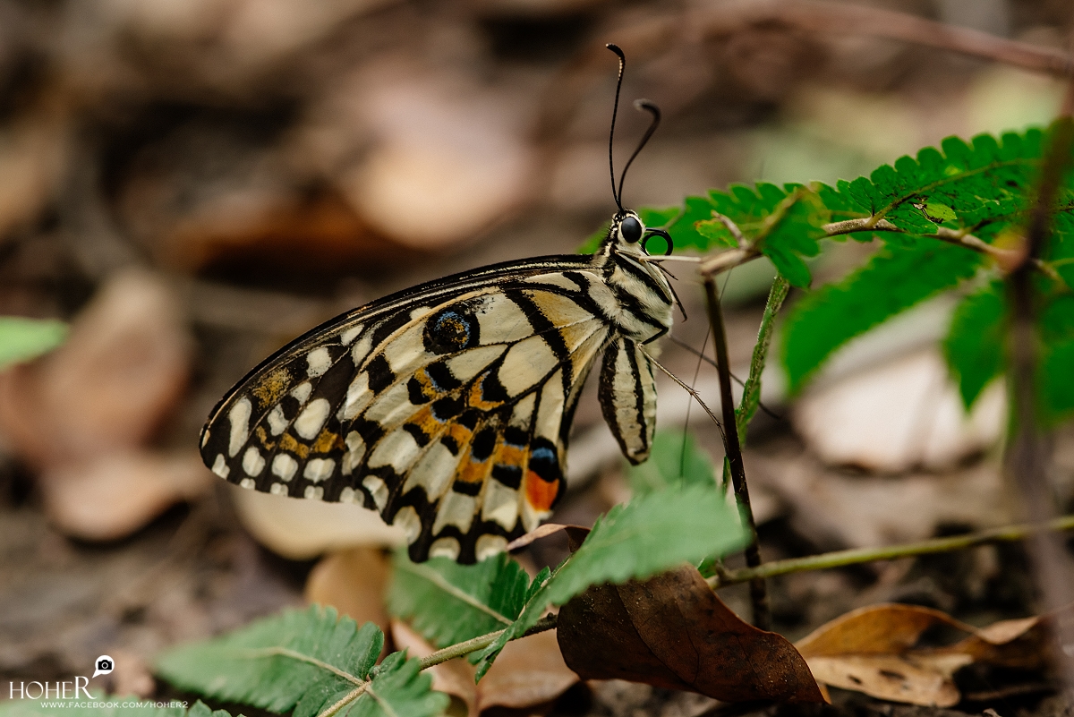 2025.11.21 sNaP(每日一拍)