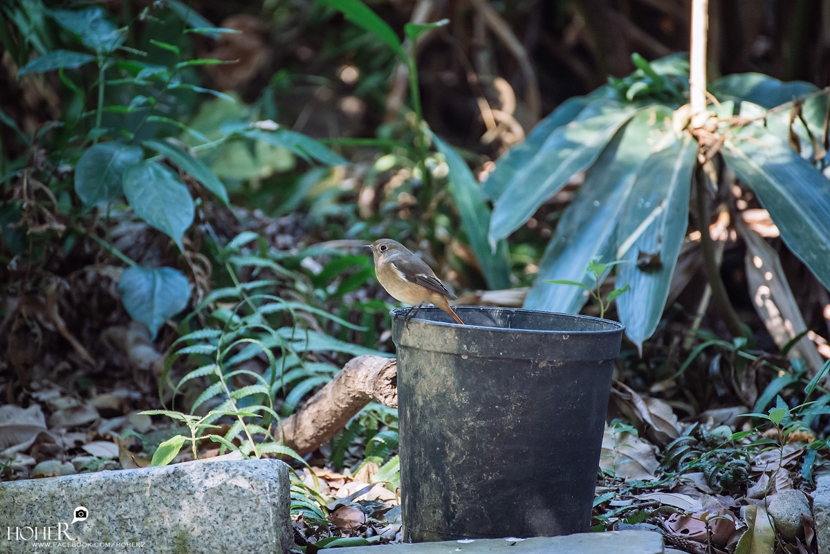 2025.12.08 sNaP(每日一拍)