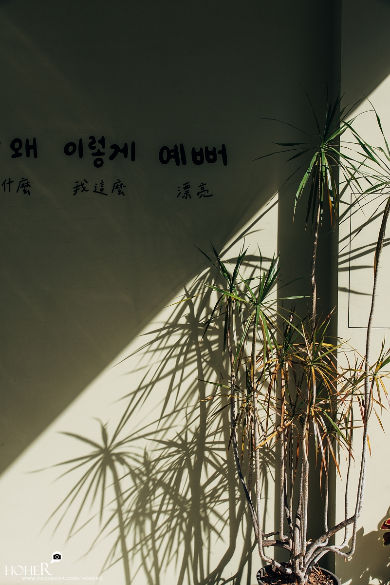 2025.12.17 sNaP(每日一拍)