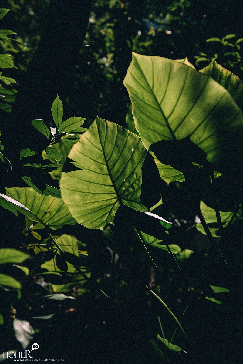 2025.11.24 sNaP(每日一拍)