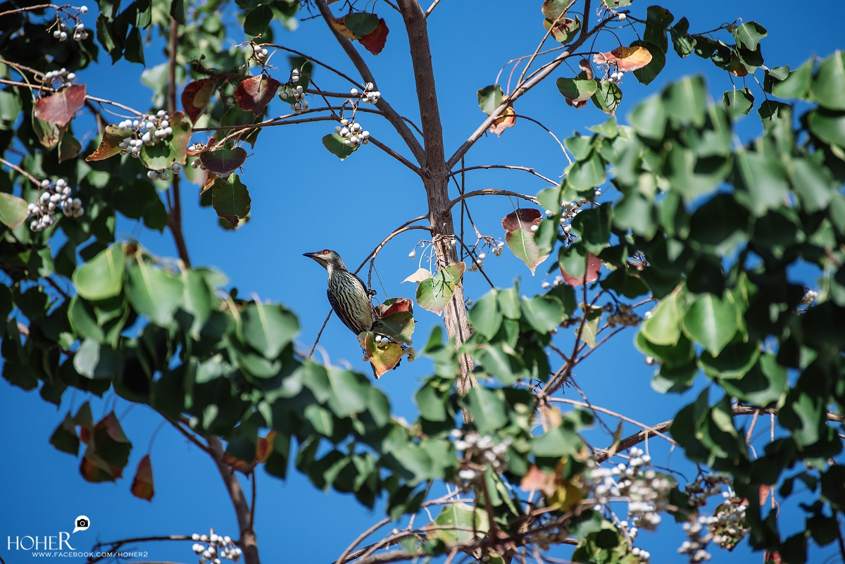 2025.12.16 sNaP(每日一拍)