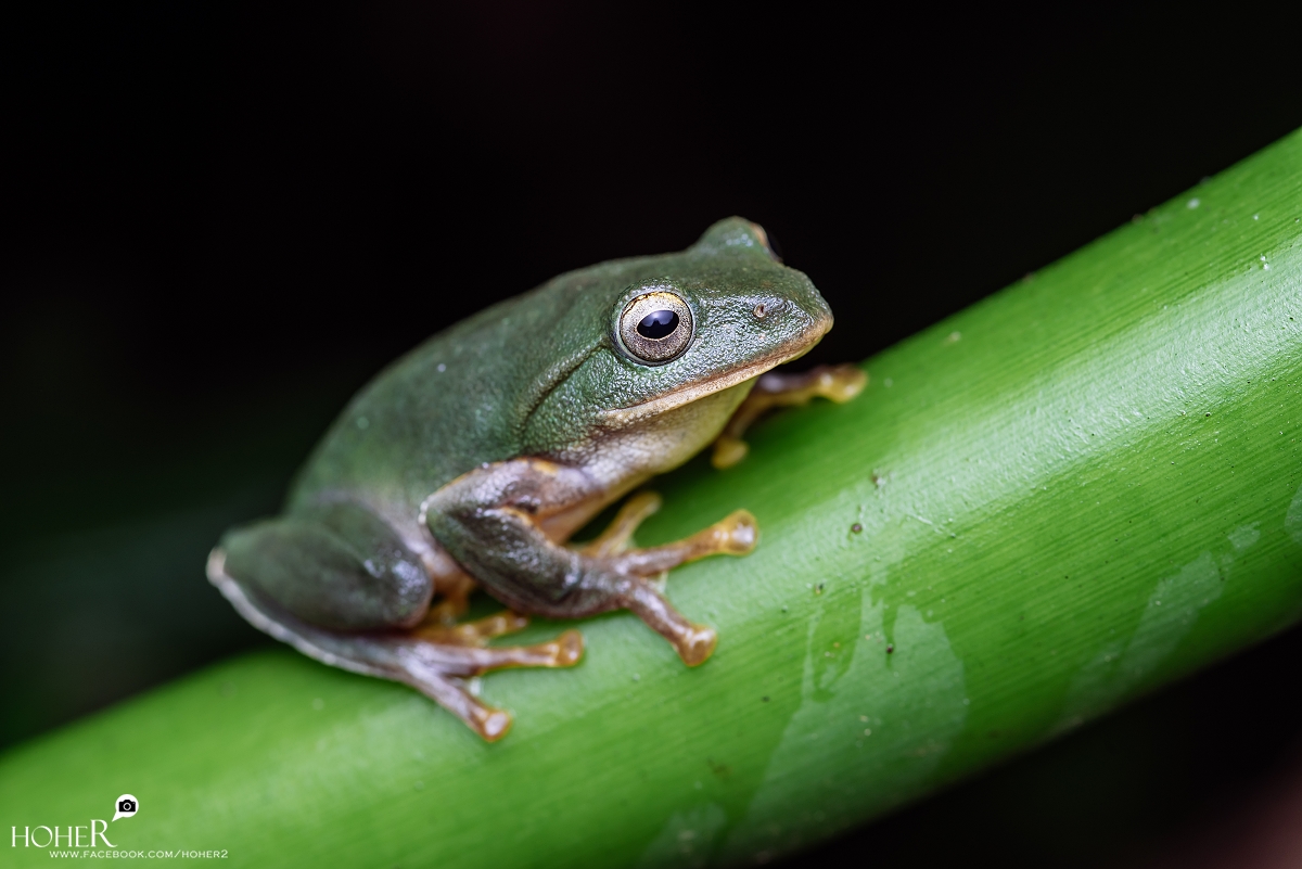 2025.12.13 sNaP(每日一拍)