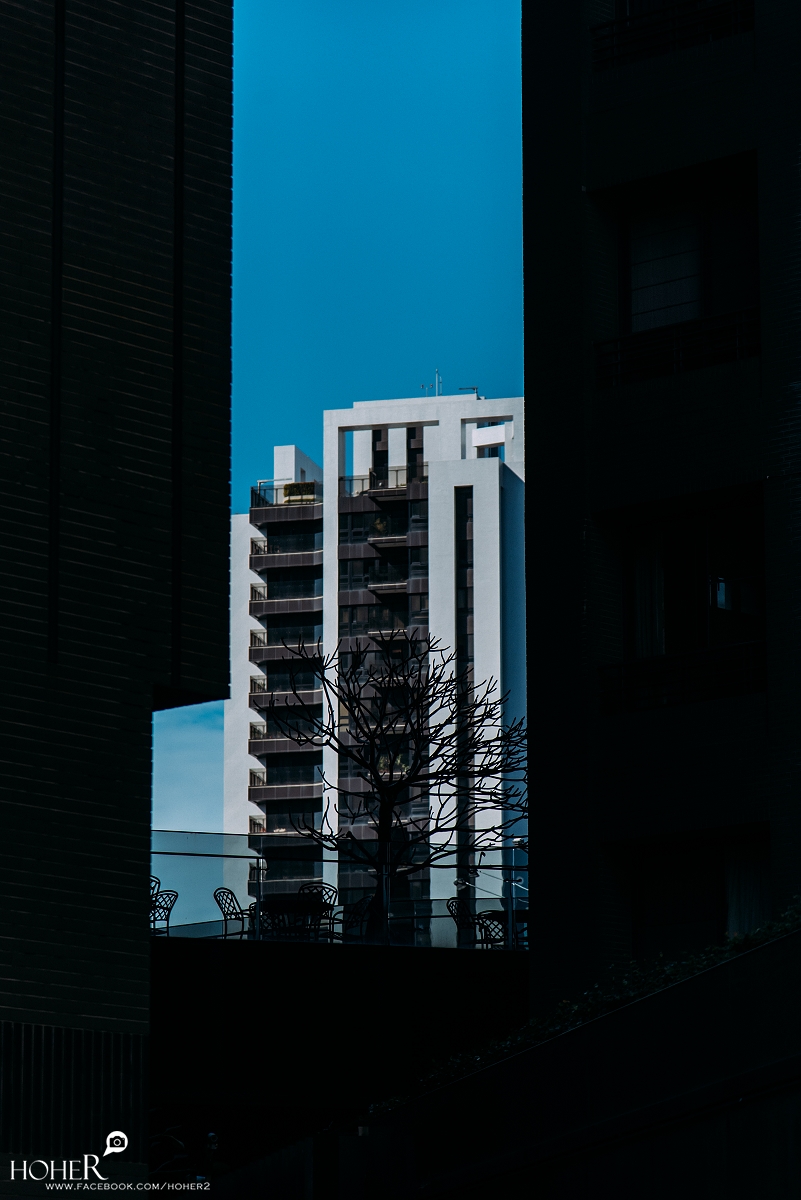 2025.11.20 sNaP(每日一拍)