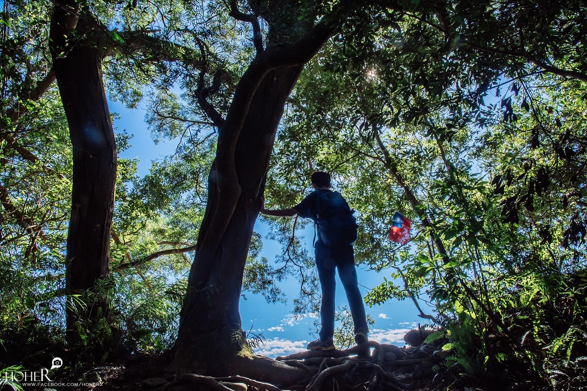 2025.11.23 sNaP(每日一拍)