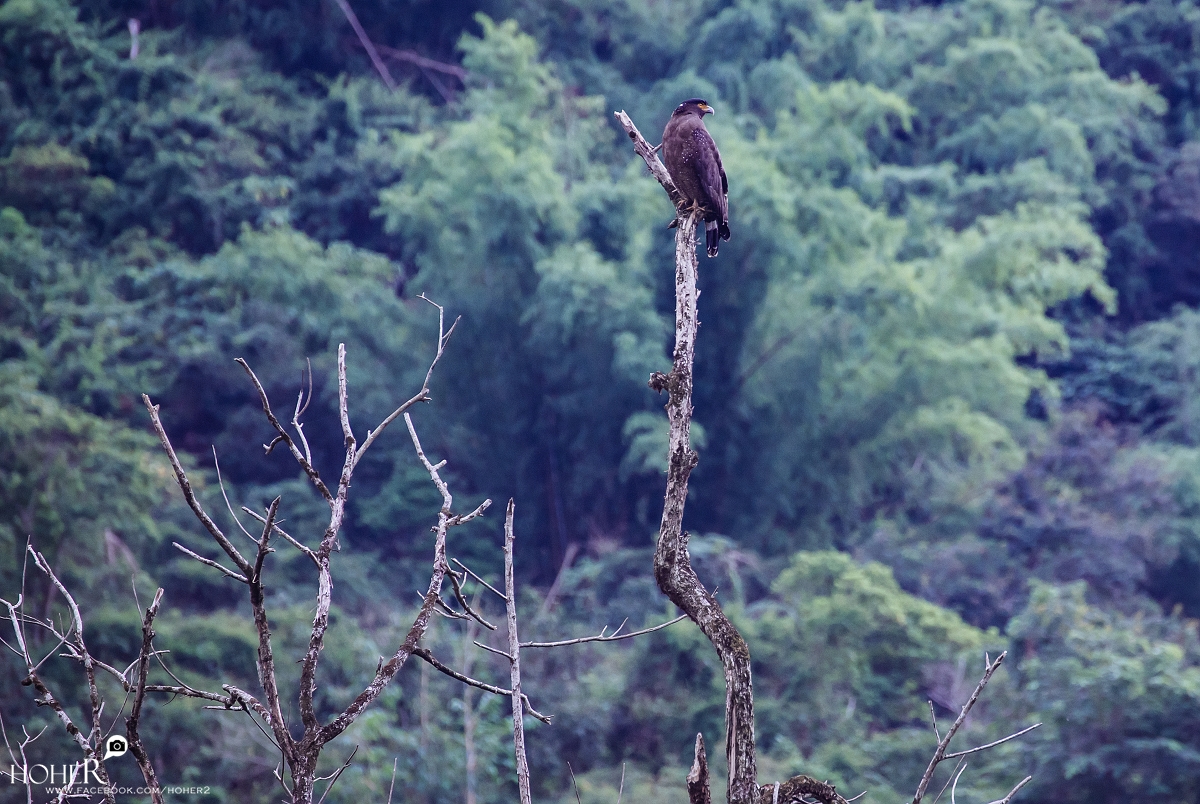 2025.11.30 sNaP(每日一拍)
