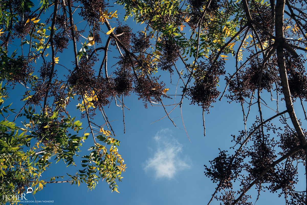 2025.12.09 sNaP(每日一拍)