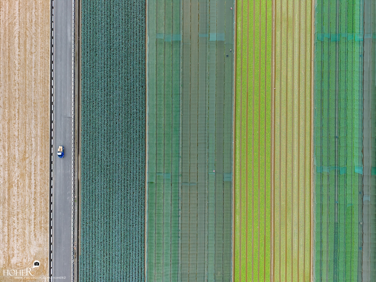 2025.12.18 sNaP(每日一拍)