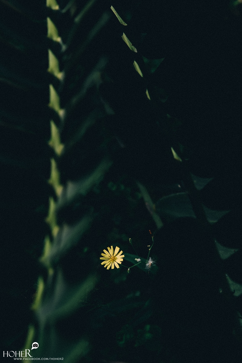 2025.11.26 sNaP(每日一拍)