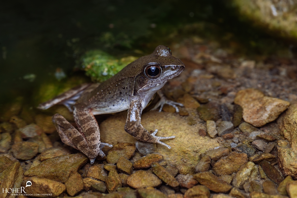 2026.01.11 sNaP(每日一拍)