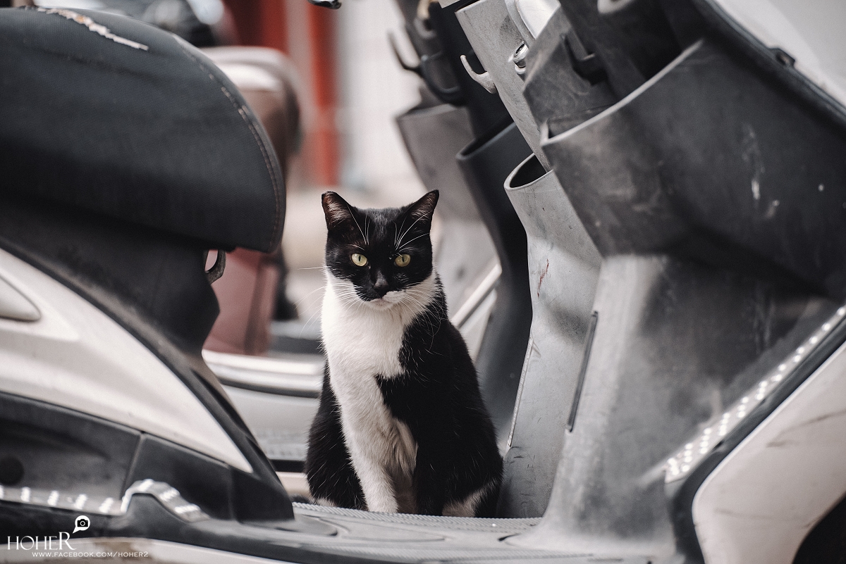 2026.01.02 sNaP(每日一拍)