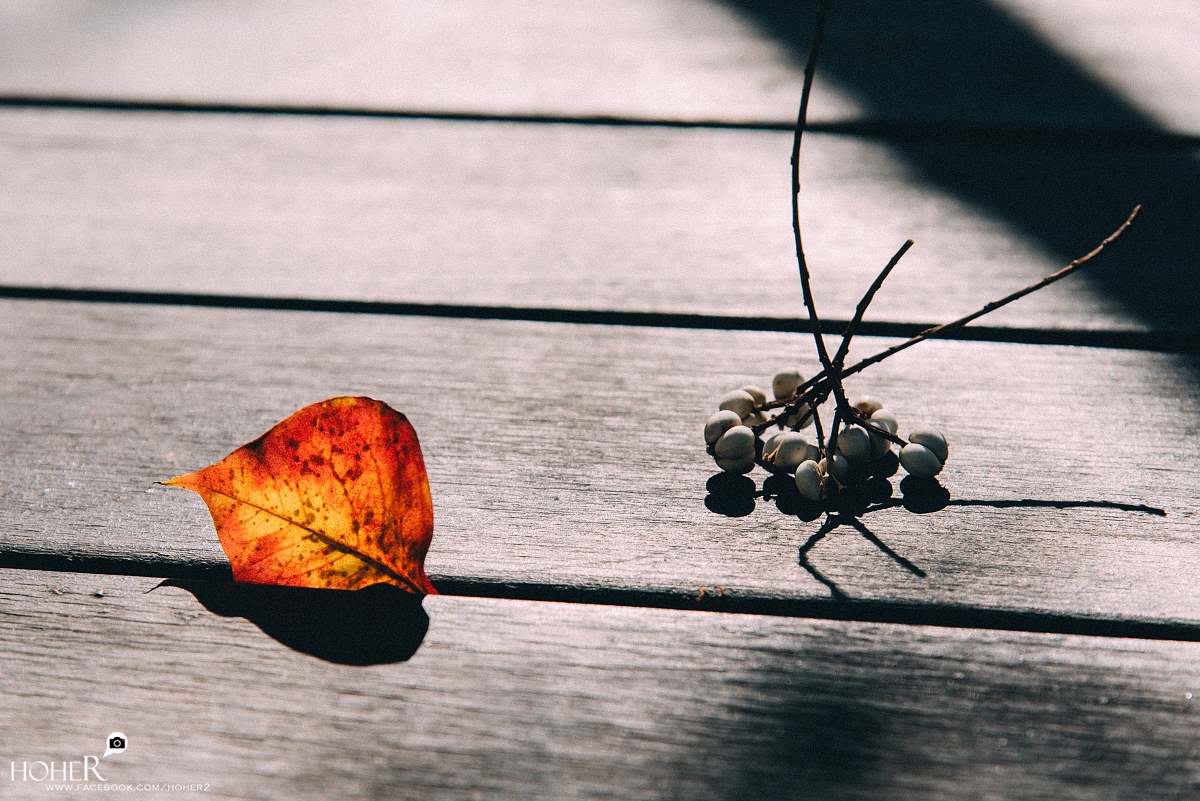 2026.01.14 sNaP(每日一拍)