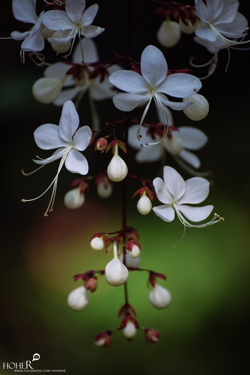 2026.01.01 sNaP(每日一拍)