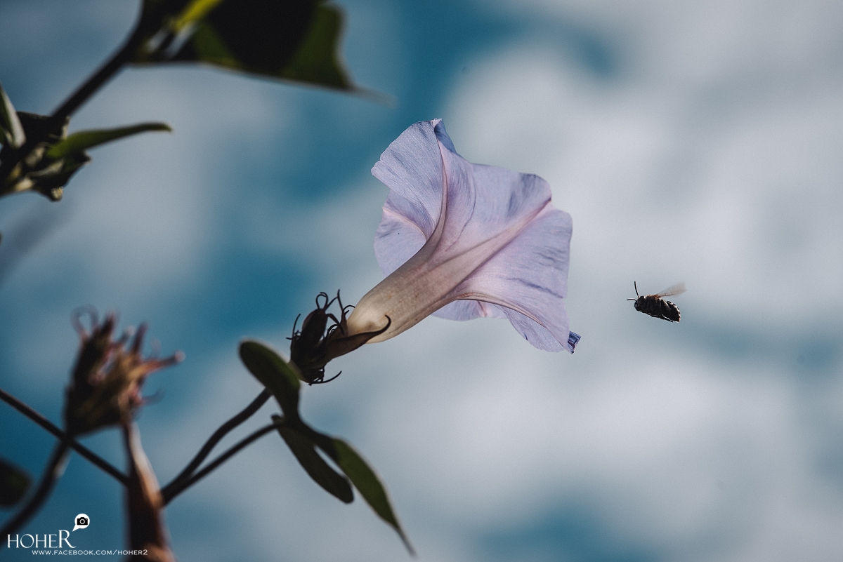 2025.12.24 sNaP(每日一拍)