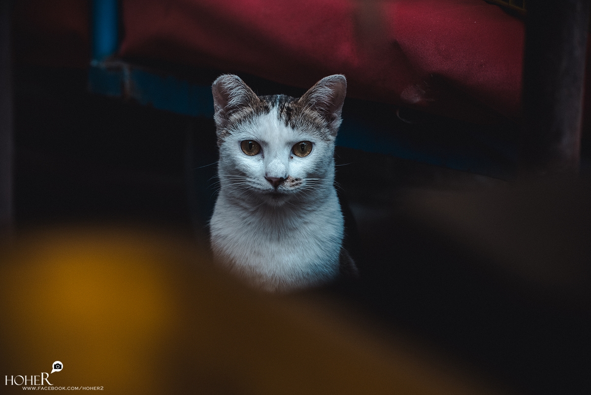 2025.12.23 sNaP(每日一拍)