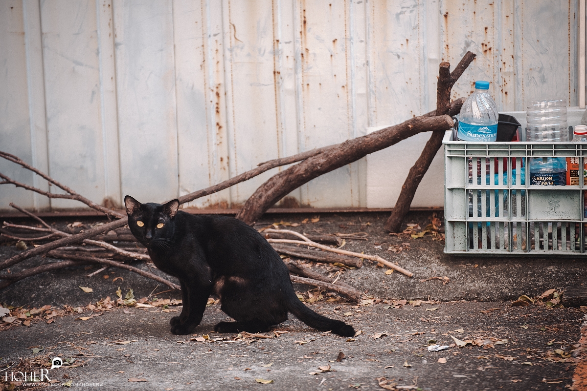 2026.01.06 sNaP(每日一拍)