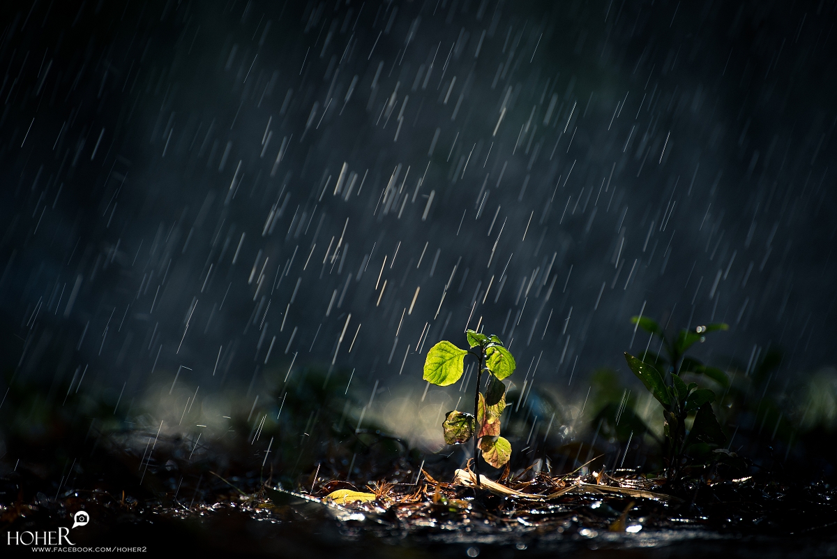 2026.01.05 sNaP(每日一拍)