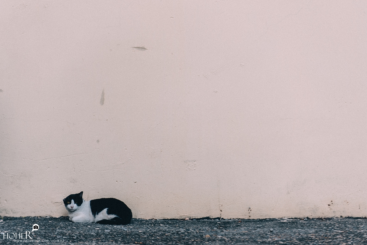 2026.01.13 sNaP(每日一拍)