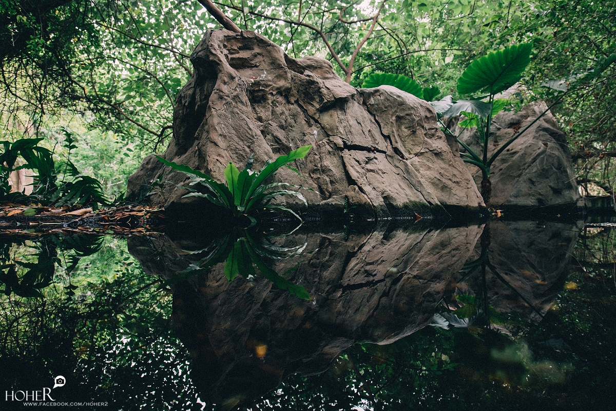 2025.12.26 sNaP(每日一拍)