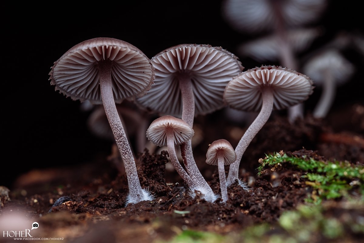 2026.01.03 sNaP(每日一拍)