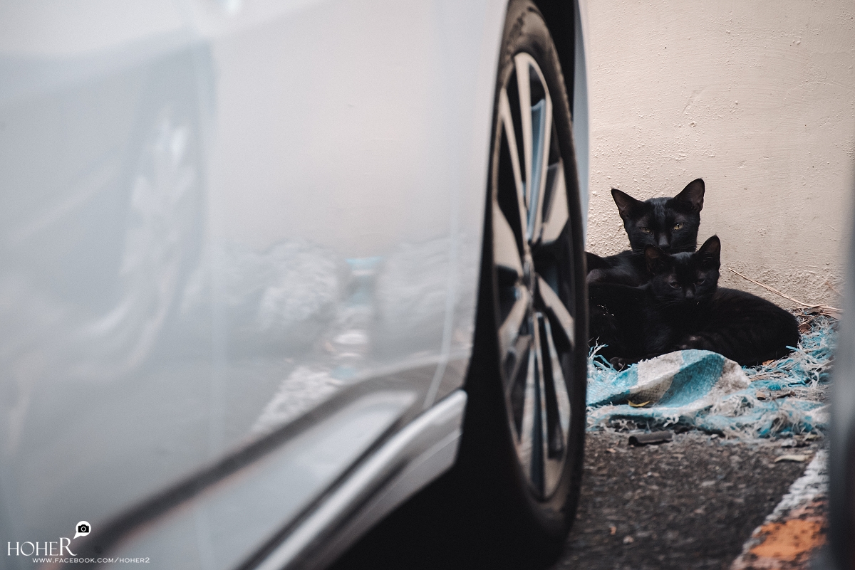 2026.01.16 sNaP(每日一拍)