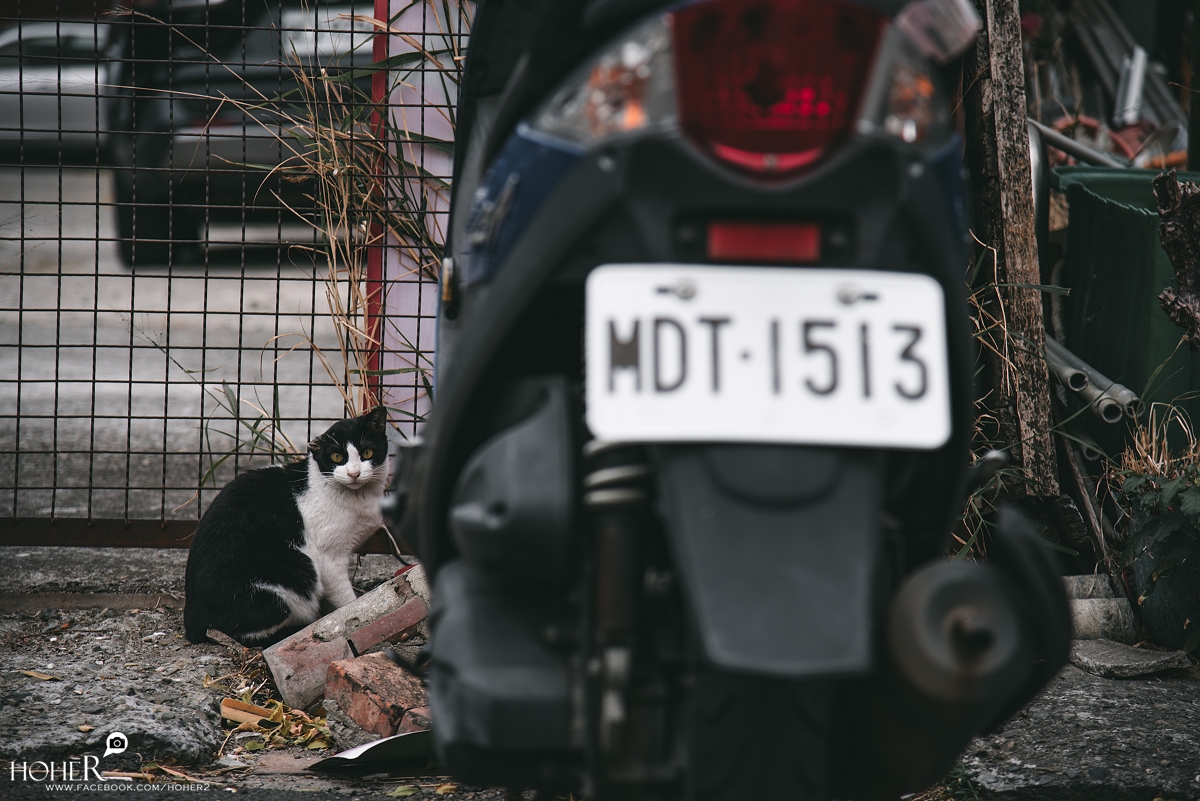 2026.01.22 sNaP(每日一拍)