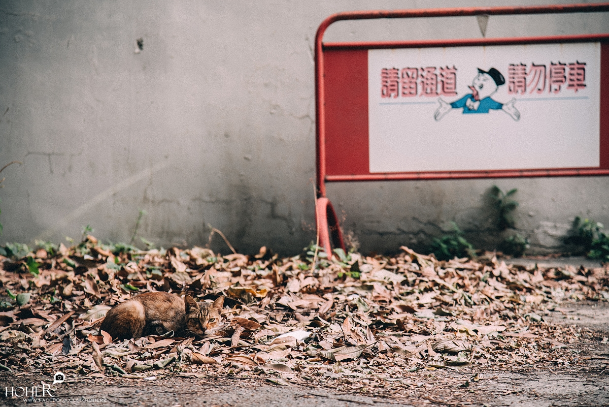 2026.01.12 sNaP(每日一拍)