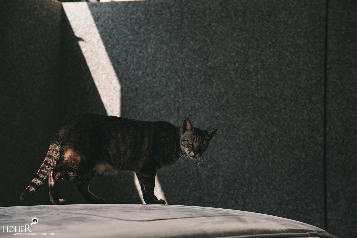 2026.01.21 sNaP(每日一拍)