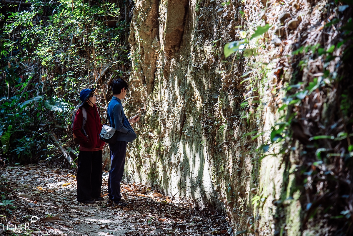 2026.01.04 sNaP(每日一拍)