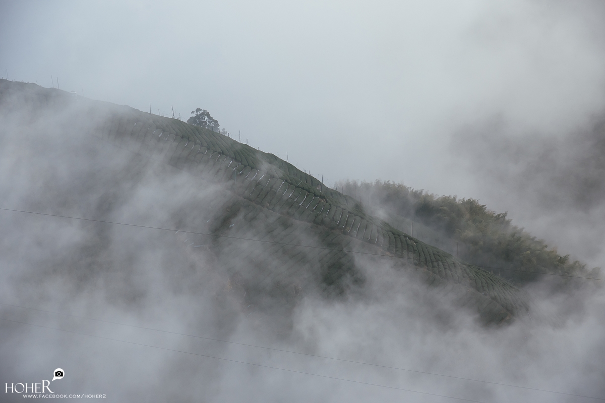 2025.12.27 sNaP(每日一拍)