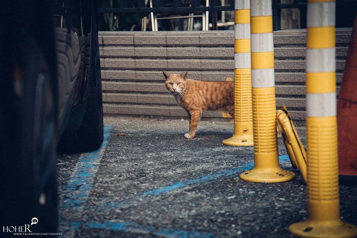 2025.12.30 sNaP(每日一拍)