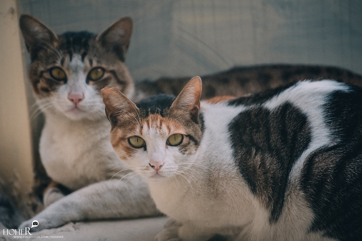 2026.01.23 sNaP(每日一拍)