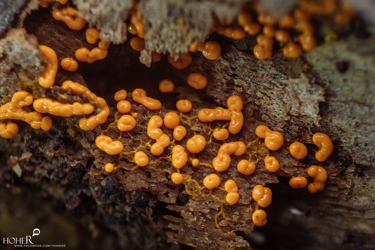 2026.01.19 sNaP(每日一拍)