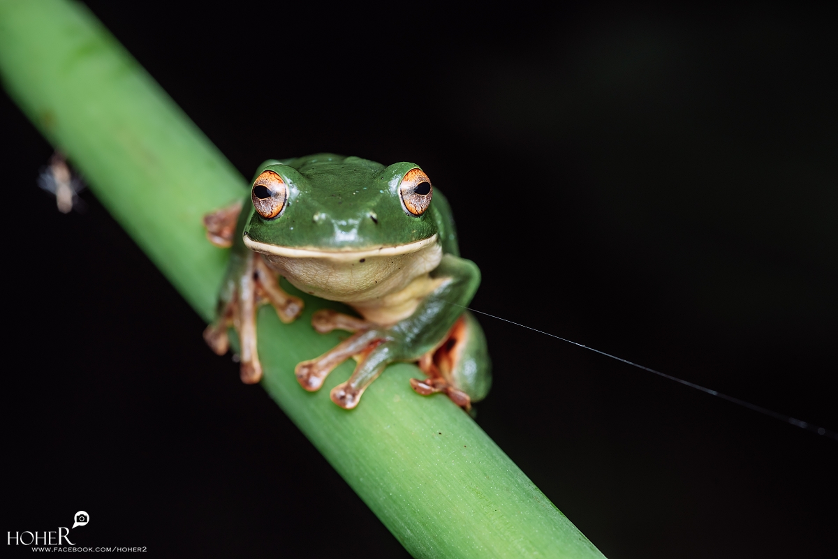 2025.12.28 sNaP(每日一拍)