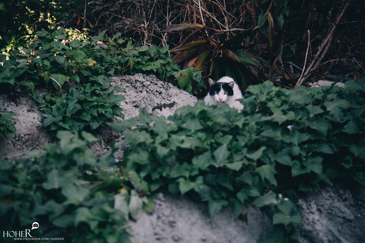 2026.01.10 sNaP(每日一拍)