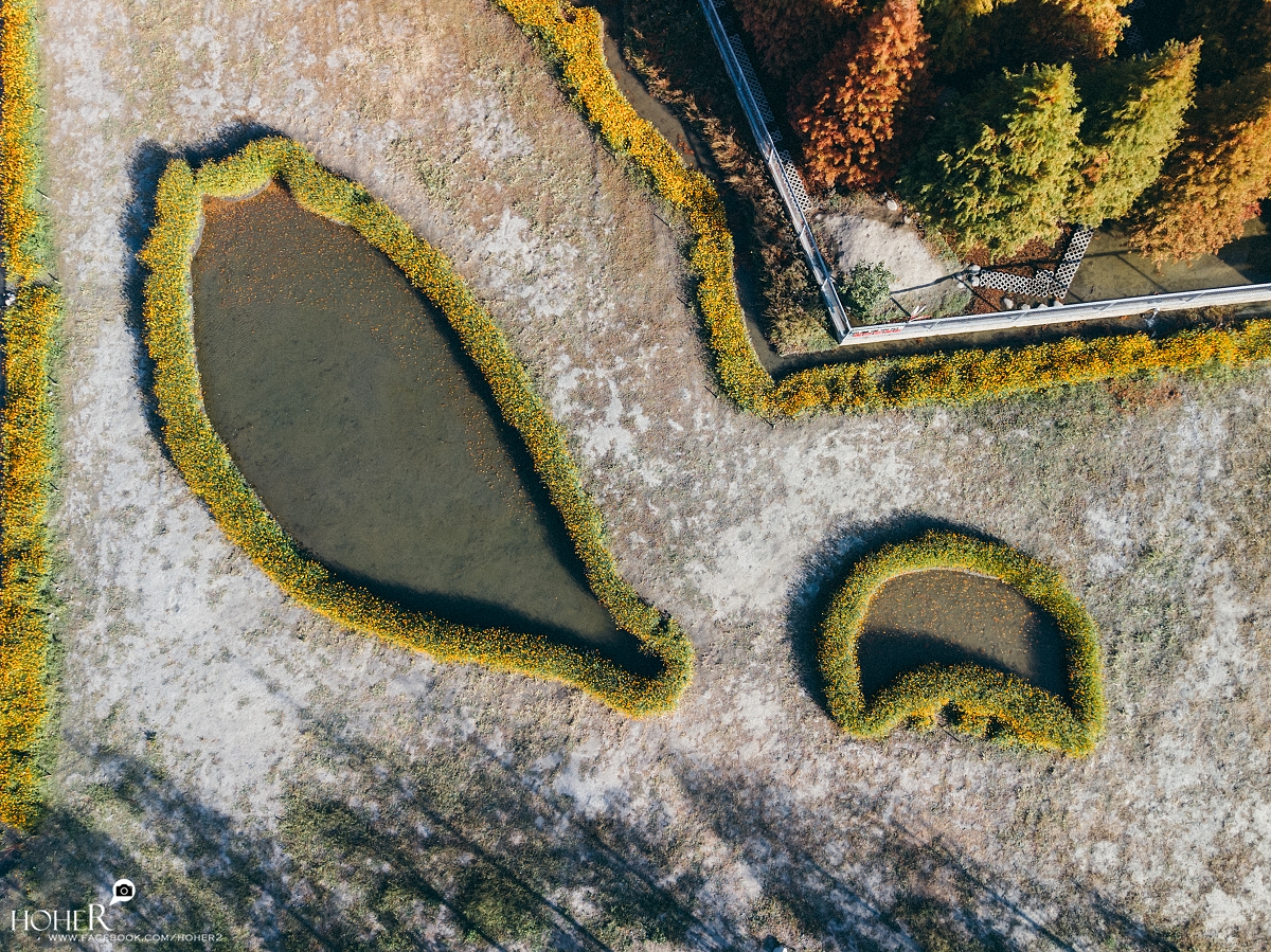 2026.01.08 sNaP(每日一拍)