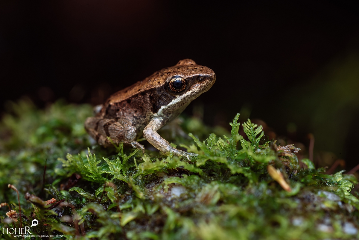 2026.01.17 sNaP(每日一拍)