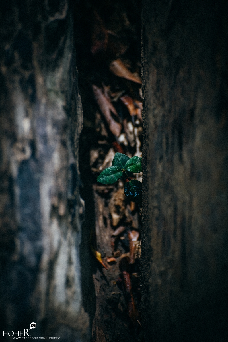 2026.02.06 sNaP(每日一拍)